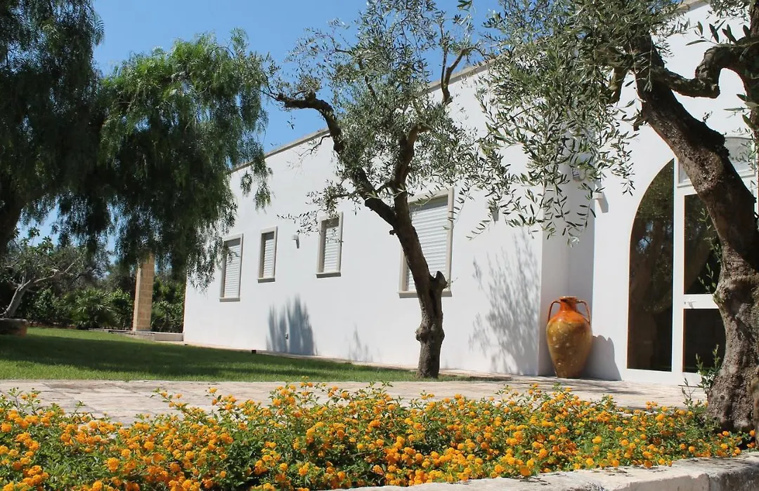 Paloma B&B-1