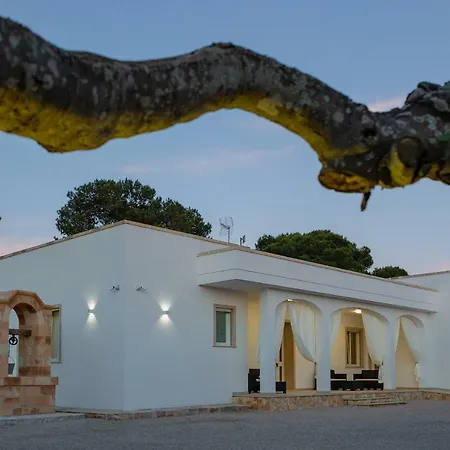 Paloma B&B-2